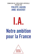 I.A. Notre ambition pour la France